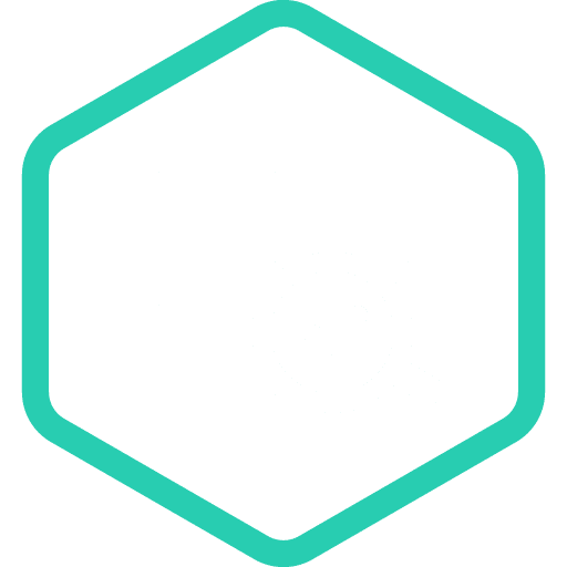  Application Security Assessment