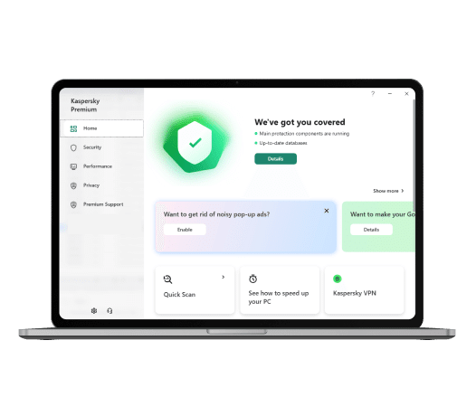 Kaspersky Premium Interface