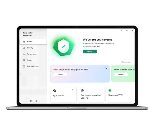 Kaspersky Premium Interface