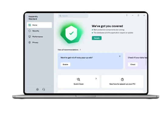 Kaspersky Standard Interface