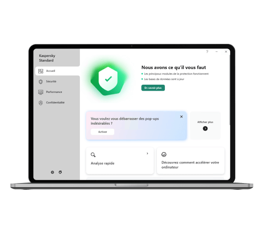 Interface de Kaspersky Standard